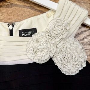 Adrianna Pappell Bodycon Rosette Black and White Dress. Size 10